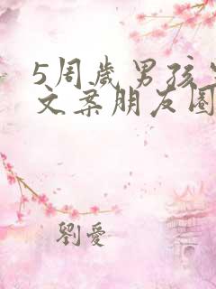 5周岁男孩生日文案朋友圈