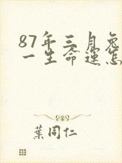 87年三月兔女一生命运怎样