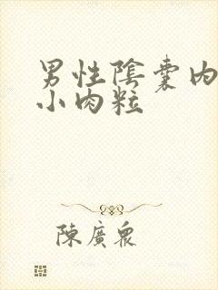 男性阴囊内侧长小肉粒