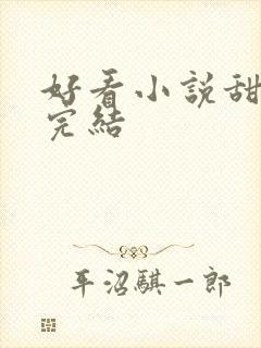 好看小说甜宠文完结