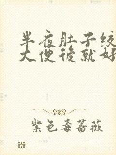 半夜肚子绞痛,大便后就好了