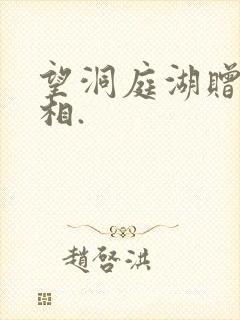 望洞庭湖赠张丞相.