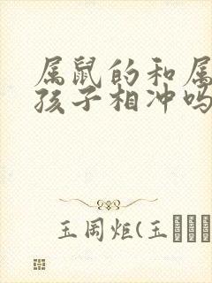 属鼠的和属马的孩子相冲吗