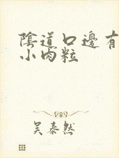 阴道口边有白色小肉粒