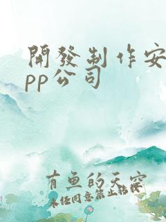 开发制作安卓app公司