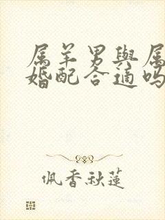 属羊男与属牛女婚配合适吗