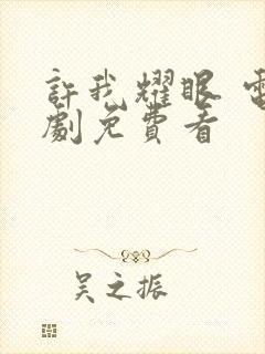 许我耀眼 电视剧免费看