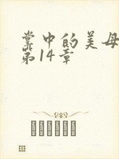 掌中的美母版主第14章