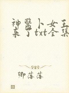 神医卜女王妃回来了txt全集下载