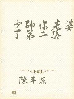 少帅你老婆又跑了第二集