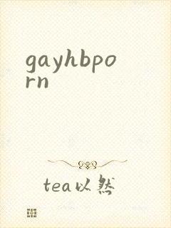 gayhbporn
