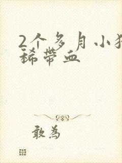 2个多月小猫拉稀带血