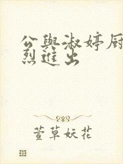 公与淑婷厨房猛烈进出