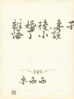 离婚后,妻子后悔了小说