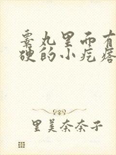 睾丸里面有个硬硬的小疙瘩