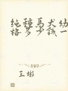 纯种马犬幼犬价格多少钱一只