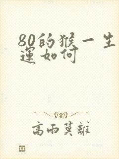 80的猴一生命运如何