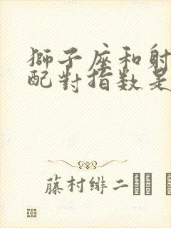 狮子座和射手座配对指数是多少