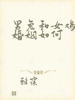 男兔和女鸡相配婚姻如何