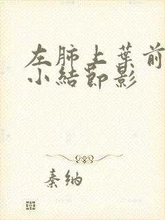 左肺上叶前段微小结节影