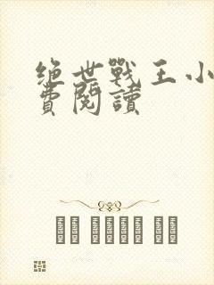 绝世战王小说免费阅读