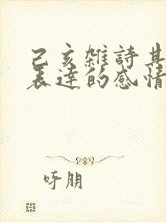 己亥杂诗其五所表达的感情