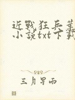 近战狂兵叶军浪小说txt下载