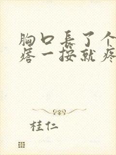 胸口长了个硬疙瘩一按就疼