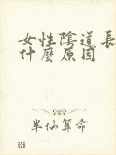 女性阴道长水泡什么原因