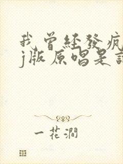 我曾经发疯想dj版原唱是谁