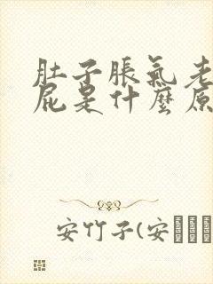 肚子胀气老是放屁是什么原因