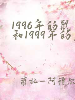 1996年的鼠和1999年的兔婚姻
