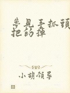 梦见手抓头发大把的掉