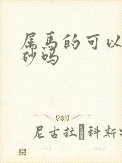 属马的可以带朱砂吗