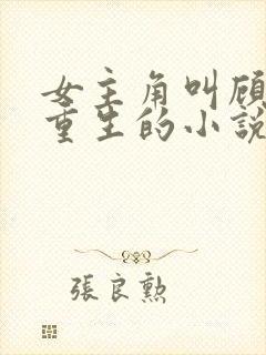 女主角叫顾晚晴重生的小说