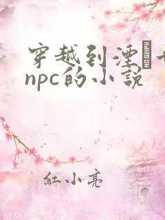 穿越到湮婸世界npc的小说