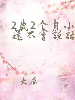 2岁2个月小孩还不会说话怎么办