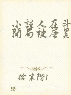 小说人在斗罗,开局被唐昊抛弃