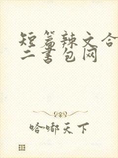 短篇辣文合集第二书包网