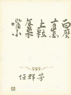 嘴唇上有白色的小米粒怎么回事