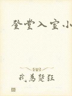 登堂入室小说