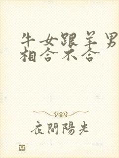 牛女跟羊男的属相合不合