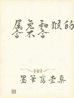 属兔和猴的属相合不合