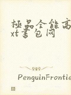 极品全能高手txt书包网