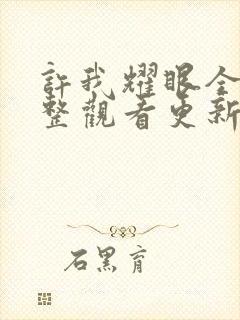 许我耀眼全集完整观看更新多少集了