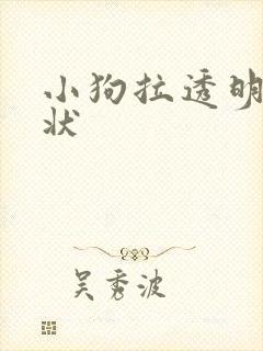 小狗拉透明果冻状