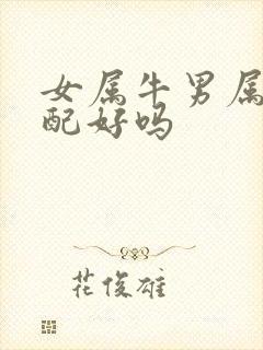 女属牛男属狗婚配好吗