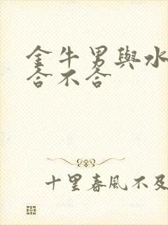 金牛男与水瓶女合不合