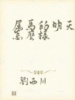 属马的明天财运怎么样