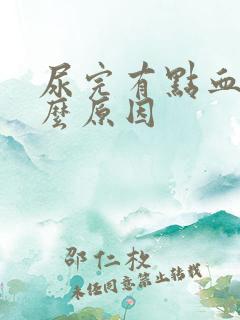 尿完有点血是什么原因